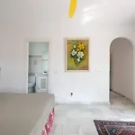 Mimosa *
